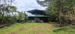 Lote en Chachagua