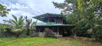 Lote en Chachagua
